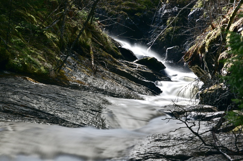 Langzeitbelichtung Bachlauf im wald Norwegen