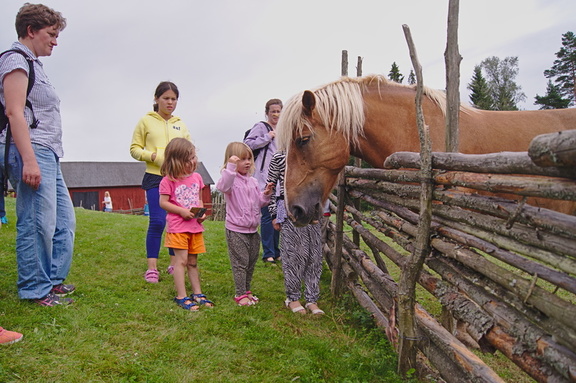 Katthult Pferdekoppel auf den Spuren astrid lindgrens