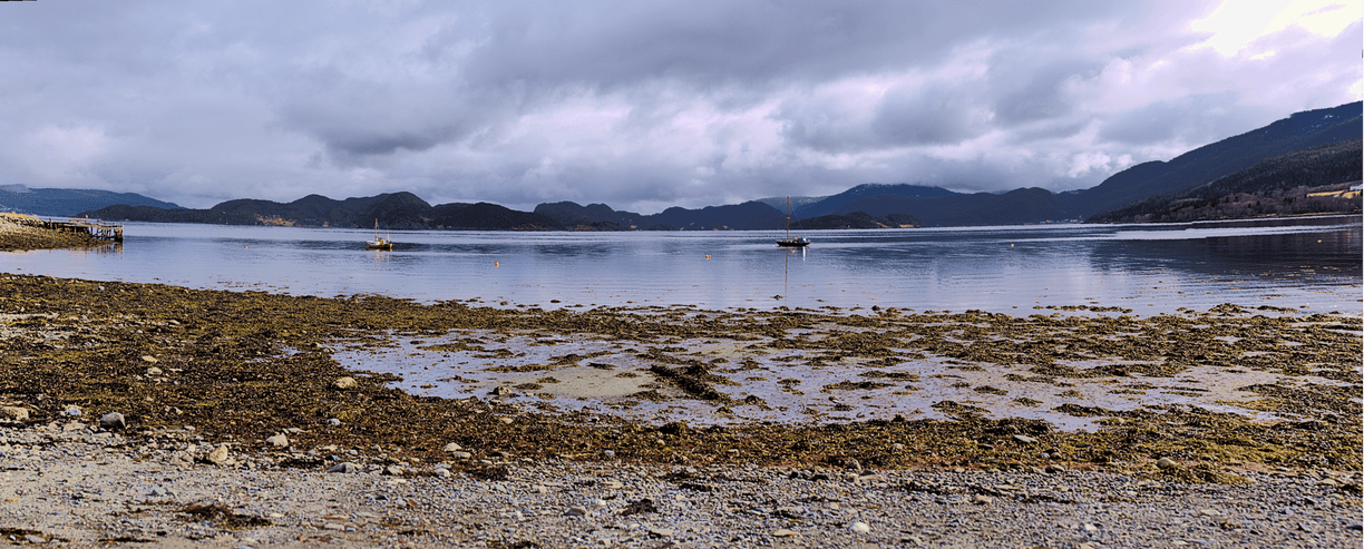 Blick über den Fjord