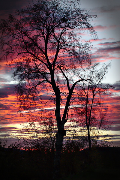 Norwegischer Sonnenuntergang