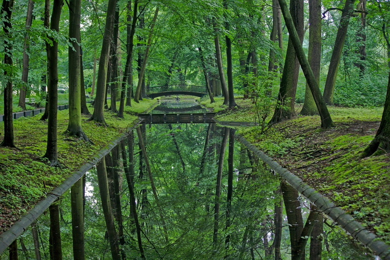 Spiegelungen im Berliner Tierpark