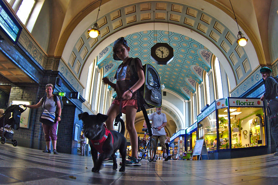 Görlitz Bahnhof Interrail durch Polen Kind mit Hund