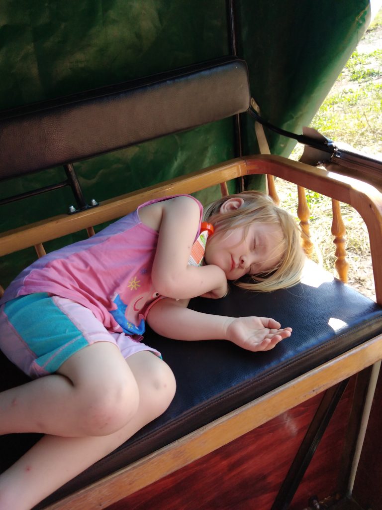 schlafendes Kind,Planwagenfahrt